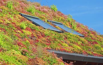 Upsher Green living roof systems