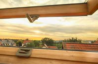 rated Upsher Green roof window companies